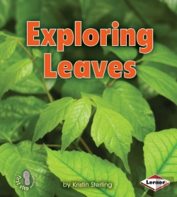 Bertrand.pt - Exploring Leaves