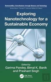 Exploring Nanotechnology For A Sustainable Economy