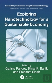 Exploring Nanotechnology For A Sustainable Economy