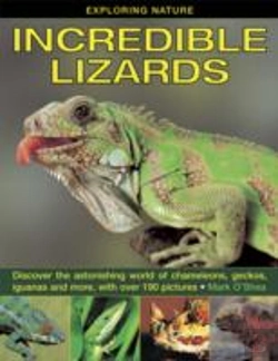 Bertrand.pt - Exploring Nature: Incredible Lizards