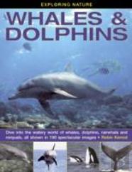 Exploring Nature: Whales & Dolphins: Dive Into The Watery World Of Whales, Dolphins, Narwhals And Rorquals, All Shown In 190 Spectacular Images