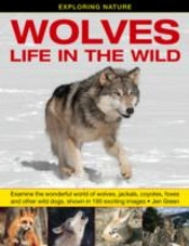 Exploring Nature: Wolves - Life In The Wild