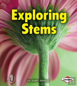 Bertrand.pt - Exploring Stems