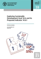 Exploring Sustainable Development Goal 14.B And Its Proposed Indicator 14.B.1