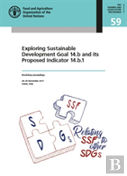 Exploring Sustainable Development Goal 14.B And Its Proposed Indicator 14.B.1