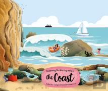 Exploring The Amazing World Of The Coast