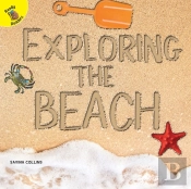 Exploring The Beach