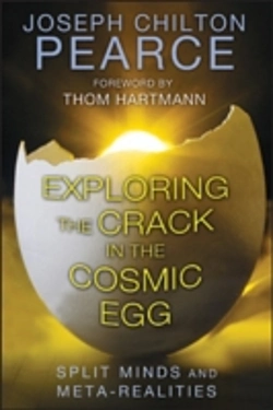 Bertrand.pt - Exploring The Crack In The Cosmic Egg