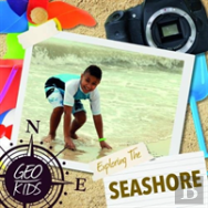 Exploring The Seashore