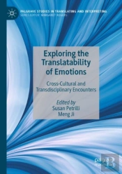 Exploring The Translatability Of Emotions