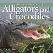 Exploring The World Of Alligators And Crocodiles