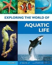 Exploring The World Of Aquatic Life