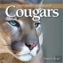 Bertrand.pt - Exploring The World Of Cougars