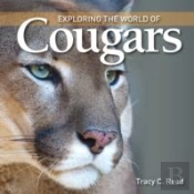 Exploring The World Of Cougars