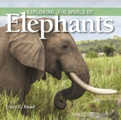 Exploring The World Of Elephants