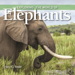 Bertrand.pt - Exploring The World Of Elephants