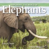 Exploring The World Of Elephants