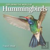 Exploring The World Of Hummingbirds