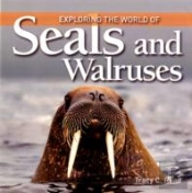 Exploring The World Of Seals & Walruses