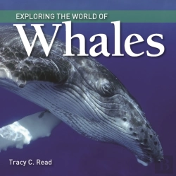 Bertrand.pt - Exploring The World Of Whales