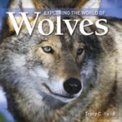 Exploring The World Of Wolves