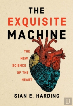 Bertrand.pt - Exquisite Machine