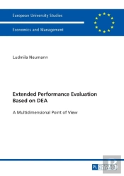 Extended Performance Evaluation Based On Dea