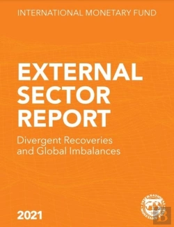 Bertrand.pt - External Sector Report 2021 Esrea202100