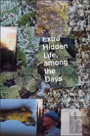 Extra Hidden Life, Among The Days