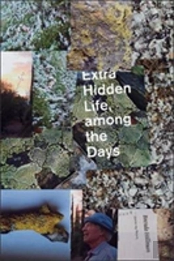 Bertrand.pt - Extra Hidden Life, Among The Days