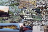 Extra Hidden Life, Among The Days