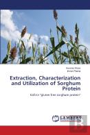 Extraction, Characterization And Utilization Of Sorghum Protein