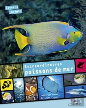 Extraordinaires Poissons De Mer N.E