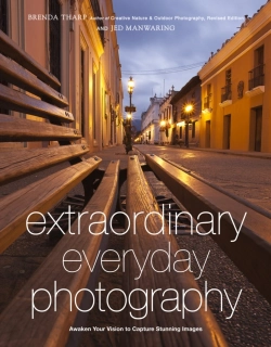 Bertrand.pt - Extraordinary Everyday Photography