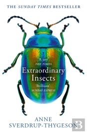 Extraordinary Insects