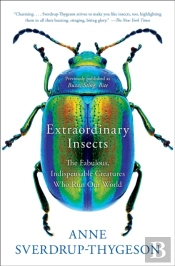 Extraordinary Insects