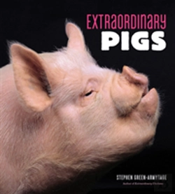 Bertrand.pt - Extraordinary Pigs