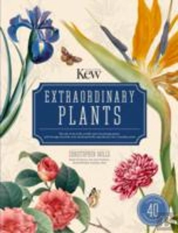 Bertrand.pt - Extraordinary Plants
