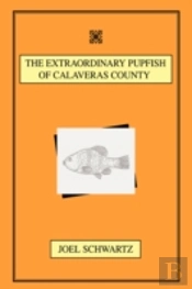 Extraordinary Pupfish Of Calaveras County