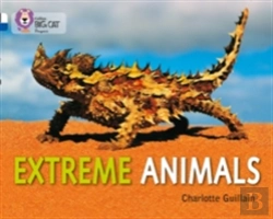 Bertrand.pt - Extreme Animals