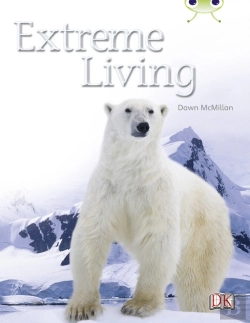 Bertrand.pt - Extreme Living (Turquoise B) 6-Pack