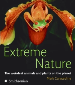 Bertrand.pt - Extreme Nature