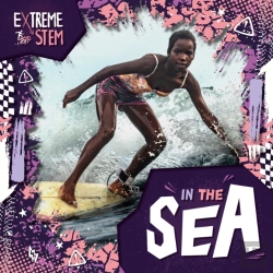 Bertrand.pt - Extreme Stem In The Sea