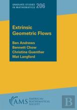 Extrinsic Geometric Flows