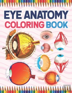 Bertrand.pt - Eye Anatomy Coloring Book