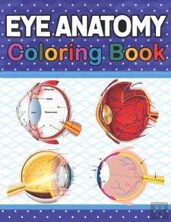 Bertrand.pt - Eye Anatomy Coloring Book