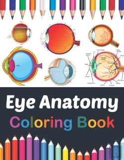Bertrand.pt - Eye Anatomy Coloring Book
