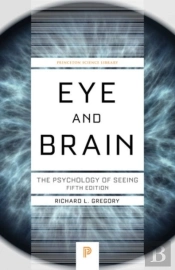 Eye And Brain