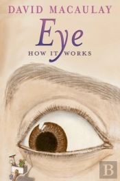 Eye: How It Works