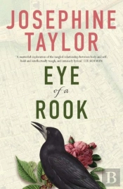 Eye Of A Rook